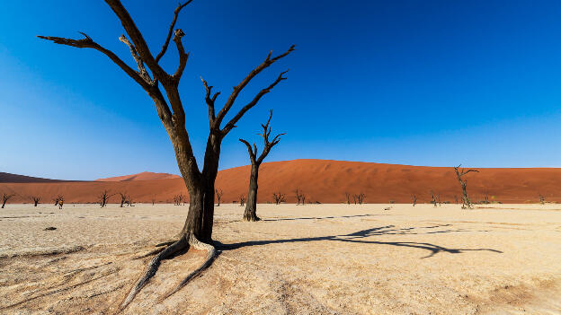 Deadvlei