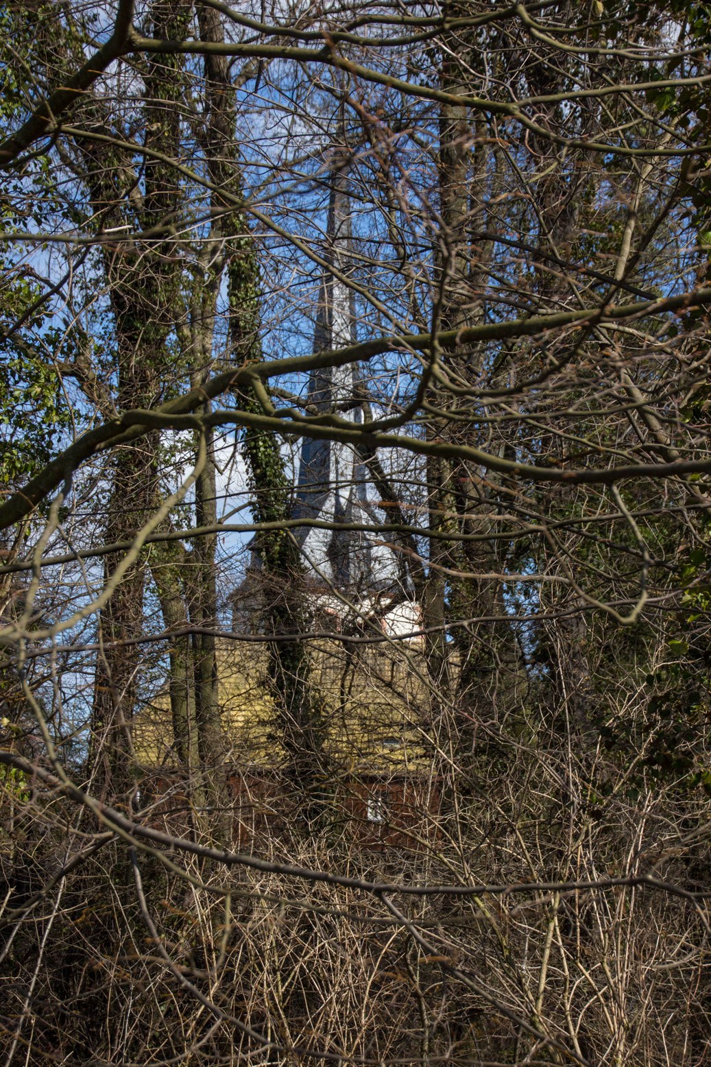 Pasterwald