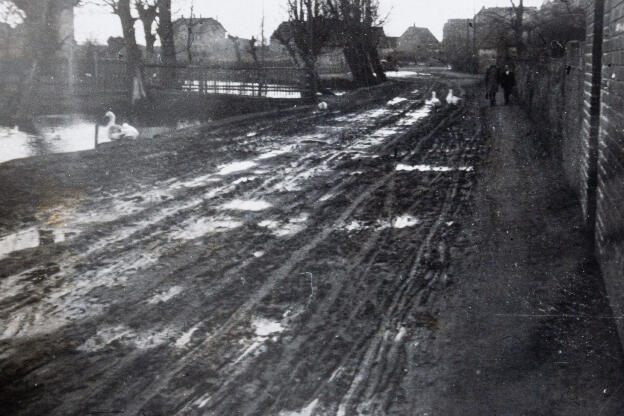 Teich Hintere Dorfstrasse